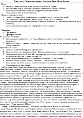 Конспект урока по биологии в 7 классе: "Отряды насекомых. Стрекозы. Вши. Жуки. Клопы".