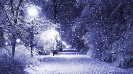 Набор картинок по лексической теме: "Зима"