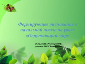 Обложка для материала Формирующее оценивание в начальной школе на уроке «Окружающий мир»