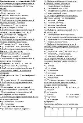 Тестирование по теме "Опорно-двигательная система человека, 8 кл