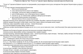 Рабочая программа по башкирскому языку