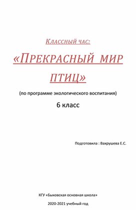 Классный час "Прекрасный мир птиц"