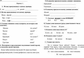 Диагностическая работа (входная) по русскому языку