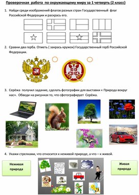 Проверочная работа по окружающему миру