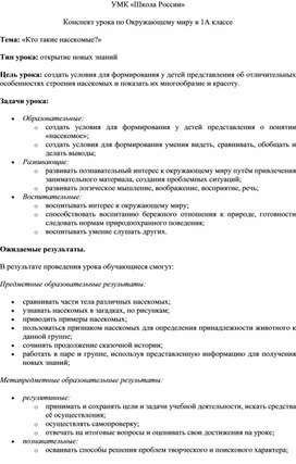 Конспект урока по окружающему миру в 1А классе на тему «Кто такие насекомые?»