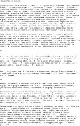 Обложка для материала Фотосинтез