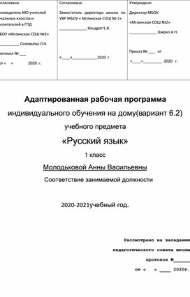 Адаптированная рабочая программа по русскому языку 1 класс вариант 6.2