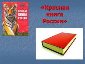 Внеклассное мероприятие по экологии "Красная книга России"