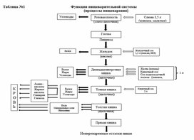 Обложка для материала Методическая работа. "Питание. Органы пищеварения и их функции в таблицах и рисунках"