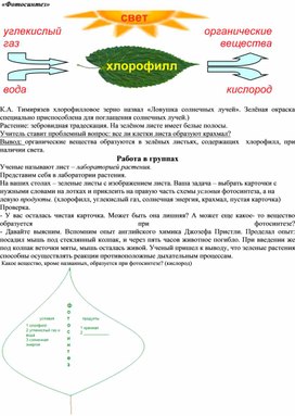 Разработка урока по биологии "Воздушное питание растений" 6 класс