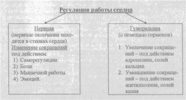 Материал к урокам  биологии