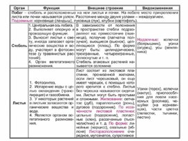 Обложка для материала Биология в таблицах