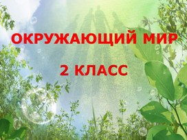 Обложка для материала Презентация к уроку окружающего мира 2 класс по теме "Птицы"