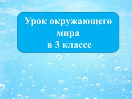 Урок окружающего мира на тему "Вода - необыкновенное вещество" (3 класс)