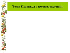 Презентация по биологии "Пластиды"