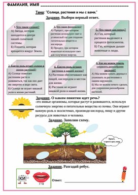Рабочий лист к уроку окружающего мира по теме "Солнце, растения и мы с вами", 3 класс, УМК "Школа России"