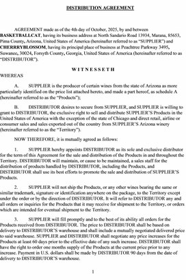 Обложка для материала AGREEMENT FOR THE PROVISION OF LEGAL SERVICES