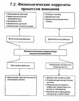 Обложка для материала материал по психофизиологии
