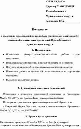 Обложка для материала Положение о проведении соревнований по пионерболу среди команд мальчиков 3-5 классов