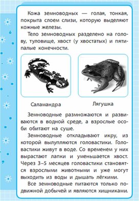 Обложка для материала Окружающий мир для 1-4 классов_схема_22