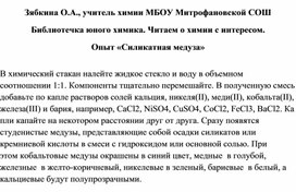 Обложка для материала Библиотечка юного химика. Читаем о химии с интересом.  Опыт «Силикатная медуза»