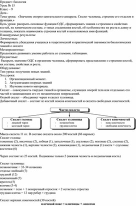 Конспект урока биологии 9 класс «Значение опорно-двигательного аппарата. Скелет человека, строение его отделов и функции.»