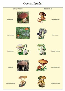 Обложка для материала Окружающий мир для начальных классов_схема_34
