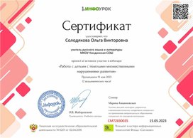 Обложка для материала Работа с детьми с тяжелыми множественными нарушениями развития