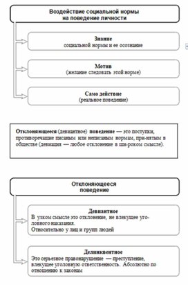 Выборы схема обществознание