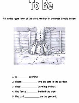 Worksheets with Simon`s Cat