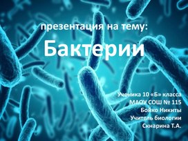 Презентация Учебного проекта "Бактерии"