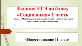 Презентация по обществознанию "В ведении органов власти"