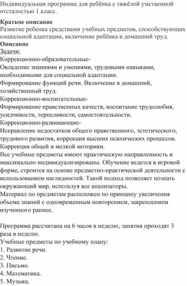 Обложка для материала Индивидуальная программа для ребёнка с ментальными нарушениями 1 класс.