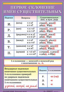 Обложка для материала первое склонение имен существительных