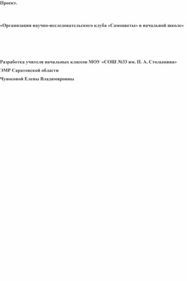 Проект «Организация научно-исследовательского клуба «Самоцветы» в начальной школе»"