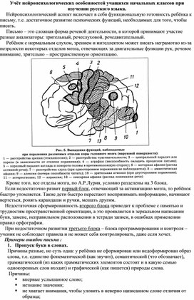 Учёт нейропсихологических особенностей учащихся начальных классов при изучении русского языка.