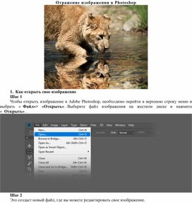 Отражение изображения в Photoshop