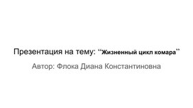 Презентация на тему: “Жизненный цикл комара”