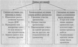 Материал к урокам  биологии