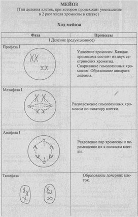 Материал к урокам  биологии