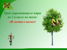 Урок окружающего мира во 2 классе по теме   «В гости к весне»