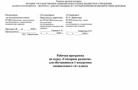 Рабочая программа по курсу Сенсорное развитие" у обучающихся с ТМНР.