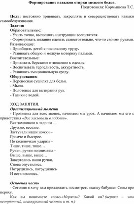 Обложка для материала Конспект занятия для детей с ВОЗ "Формирование навыков стирки мелкого белья."