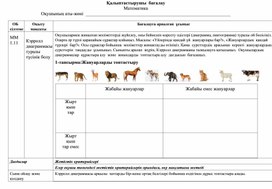 Обложка для материала 1СКэрролл диаграммасында ақпаратты көрсету ҚАЛЫПТАСТЫРУШЫ БАҒАЛАУ
