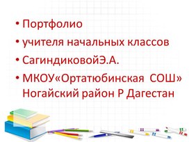 Портфолио учителя начальных классов