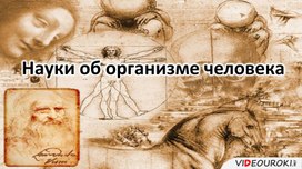 Презентация "Науки об организме человека", 9 класс