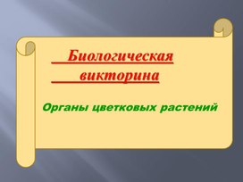 Биологическая викторина "Органы цветкового растения"