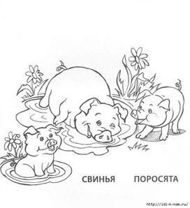 Обложка для материала поросята