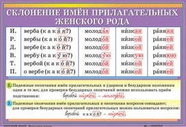Обложка для материала склонение имен прилагательных женского рода