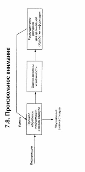 Обложка для материала материал по психофизиологии